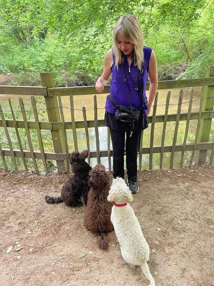 Penny with dogs